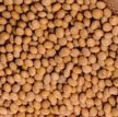 soybeans are excellent in the way they feed phosphorus, manganese, iron, protein, and folate.