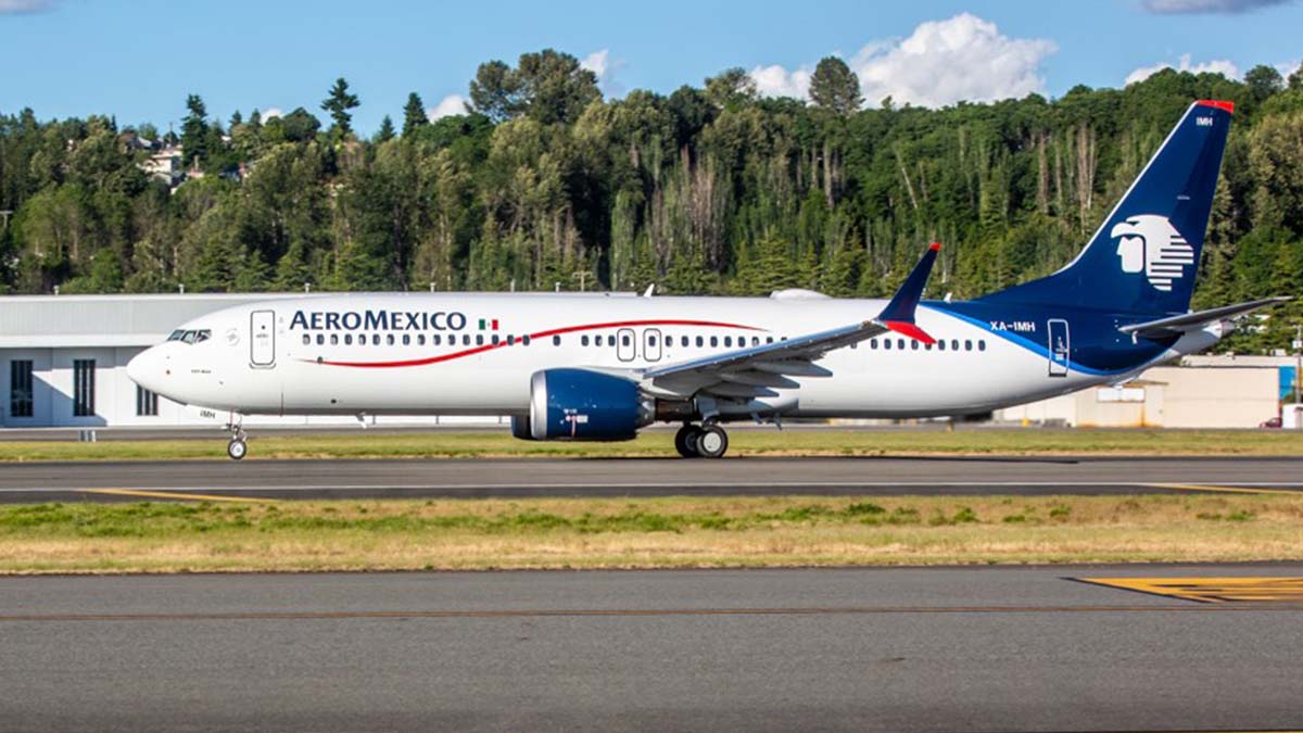 AEROMÉXICO DESCONOCE PROPICIO DESPLOME BOLSA 01