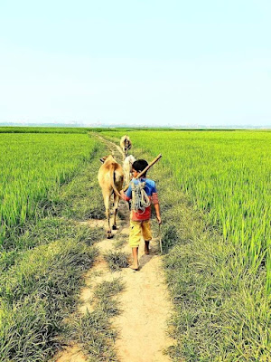 আমি কৃষক-মুক্তারুল ইসলাম মুক্তার