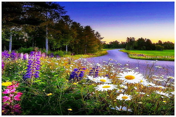 Фото лета в России / Photo of summer in Russia