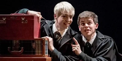 Harry Potter: A verdade sobre Alvo Potter