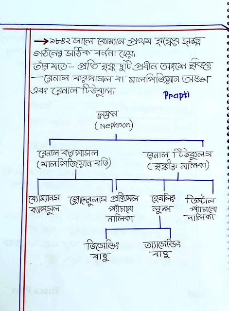 SSC Biology Chapter 8 Hand Note