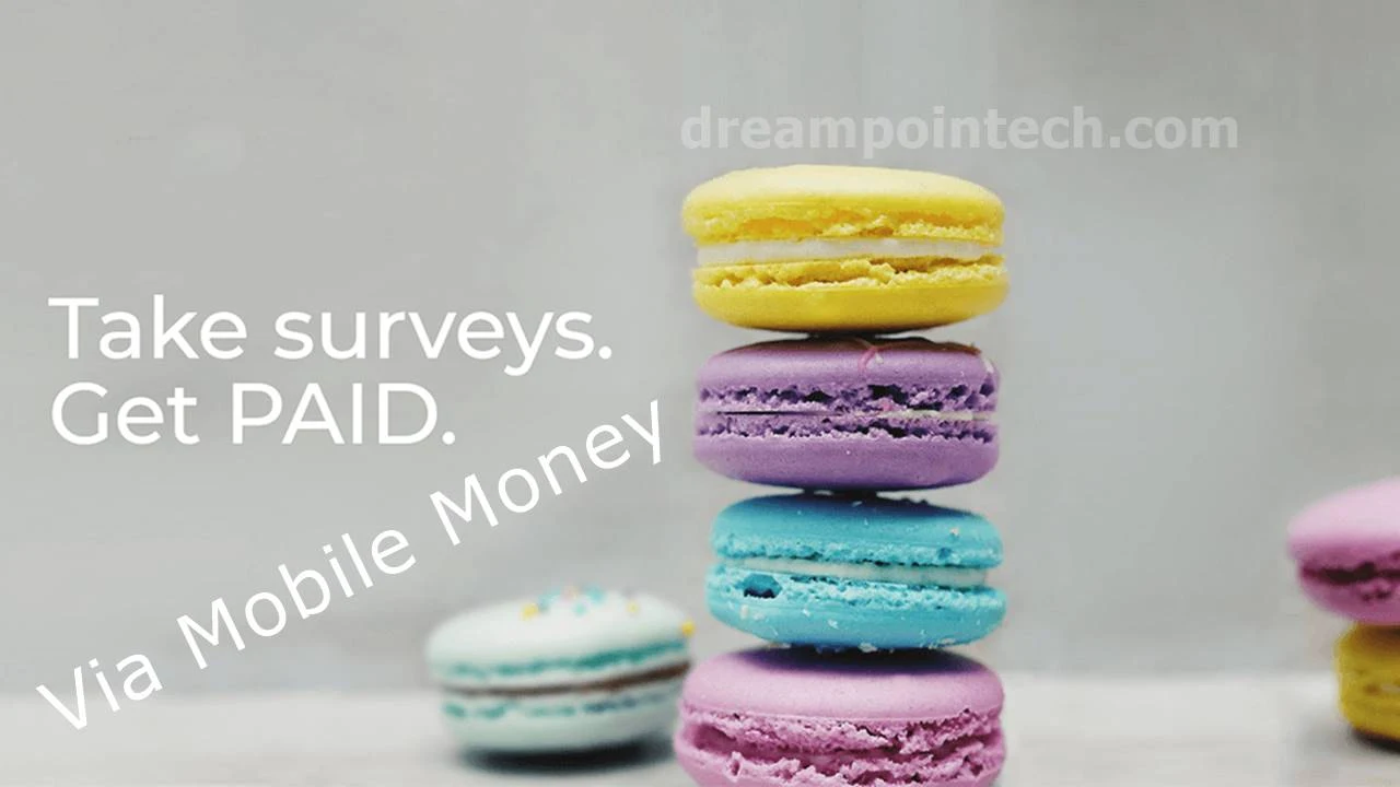 Legit Online Surveys That Pay Through Mobile Money