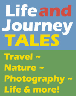 Life And Journey Tales