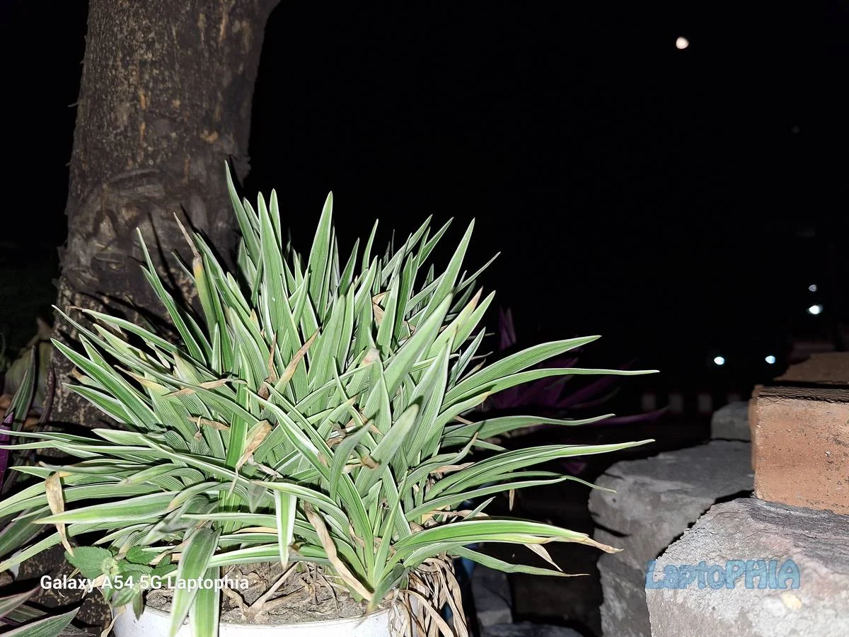 Hasil Foto Kamera Samsung Galaxy A54 5G