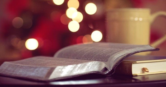 How We Can Read The Whole Bible This Year