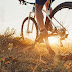 Top Reasons To Begin Riding a Bicycle Again