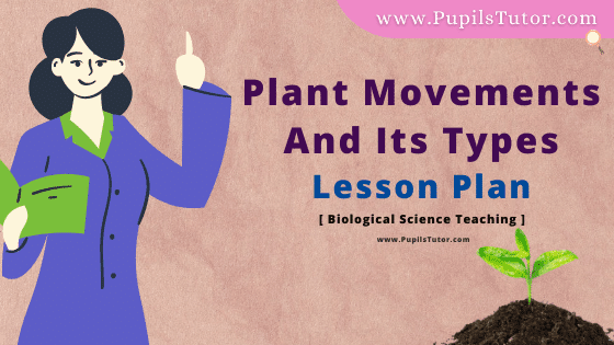 Plant Movements And Its Types Lesson Plan For B.Ed, DE.L.ED, BTC, M.Ed 1st 2nd Year And Class 9th Biological Science  Teacher Free Download PDF On Microteaching Skill Of Stimulus Variation In English Medium. - www.pupilstutor.com
