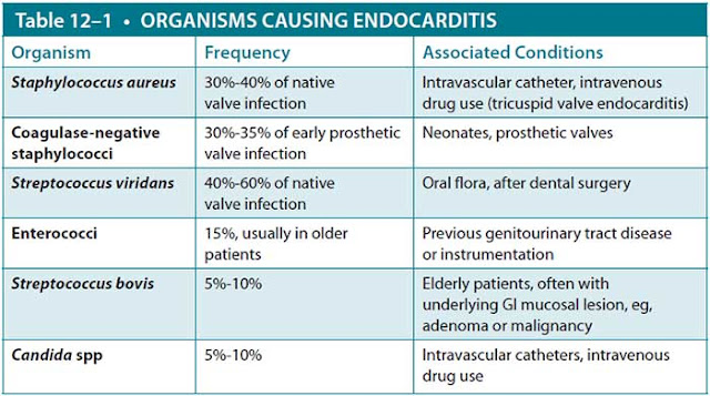 organisms causing endocarditis