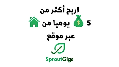 الربح من الانترنت للمبتدئين بطريقة سهلة ومضمونة وبدون خبرة