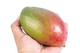 What is a Keitt mango