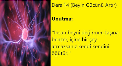 Ders 14 (Beyin Gücünü Artır), saymuallim