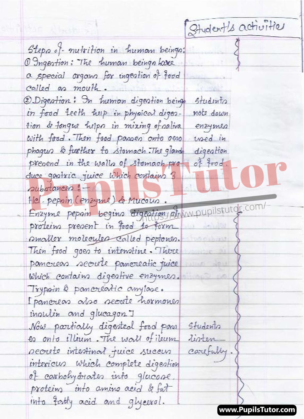 Class/Grade 7 Biological Science Lesson Plan On Human Digestive System For CBSE NCERT KVS School And University College Teachers – (Page And Image Number 3) – www.pupilstutor.com