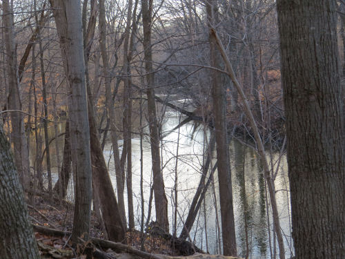 Thornapple River in winter