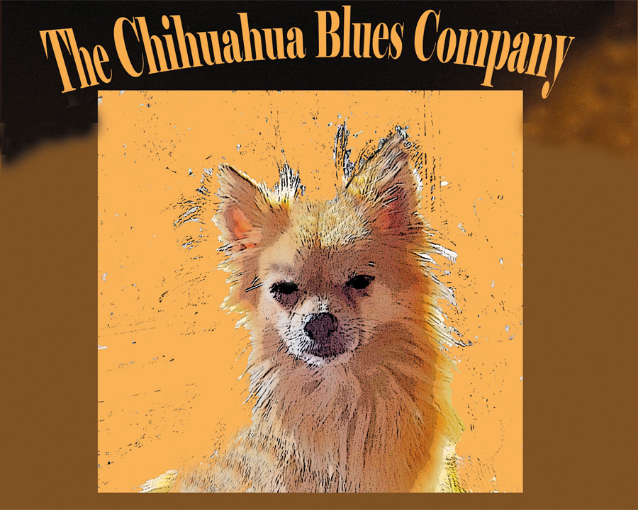 Chihuahua Blues Company News/Neuigkeiten