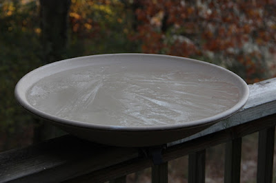 ice covered bird bath