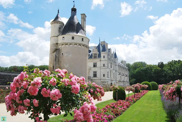 Castillo Chenonceaux, Valle del Loira