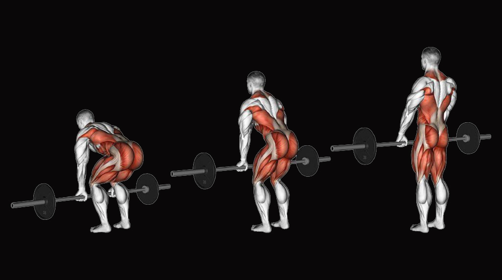 TOP 6 BACK EXERCISES