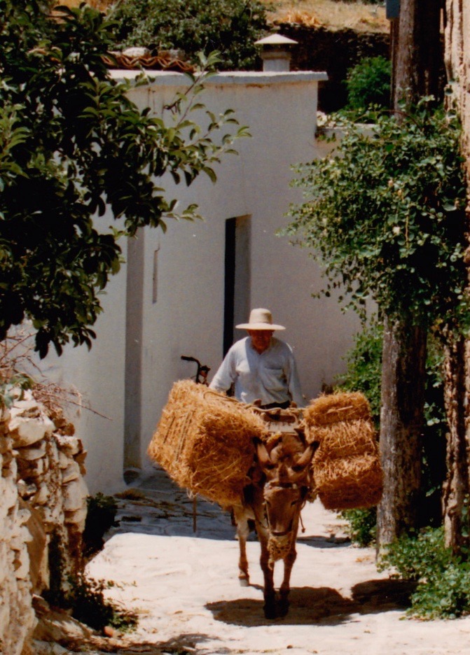 Isola di Paros (Grecia, 1991)