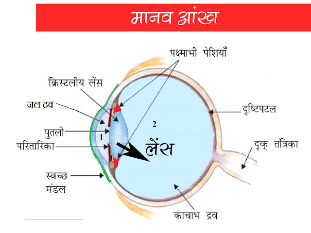 मानव नेत्र Eyes Physics in Hindi
