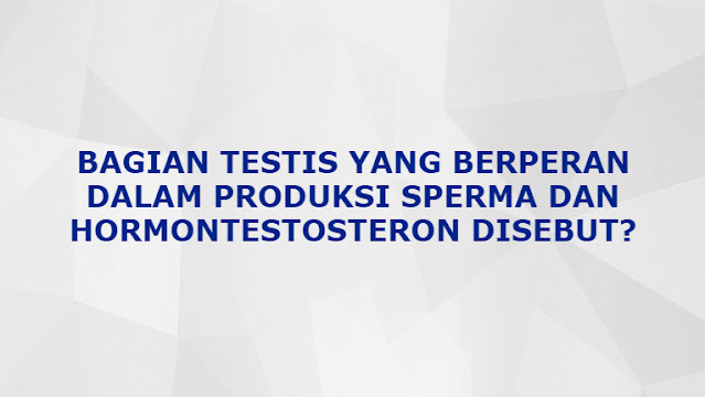 Bagian Testis Yang Berperan Dalam Produksi Sperma Dan Hormontestosteron Disebut?
