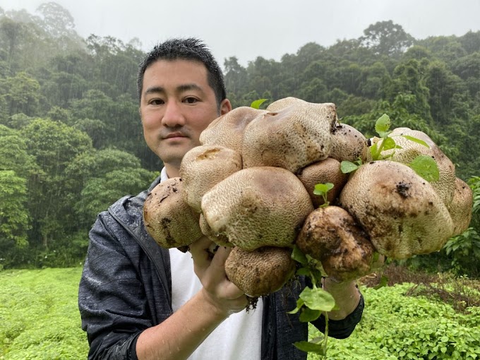 Mushroom cultivation training by government | Mushroom farming training | Biobritte mushroom company