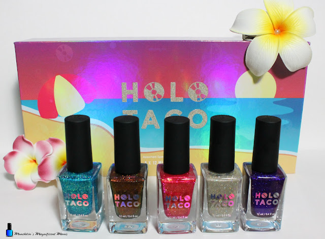 Holo Taco Vacation Collection