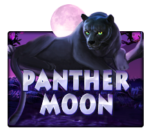 panther moon joker gaming