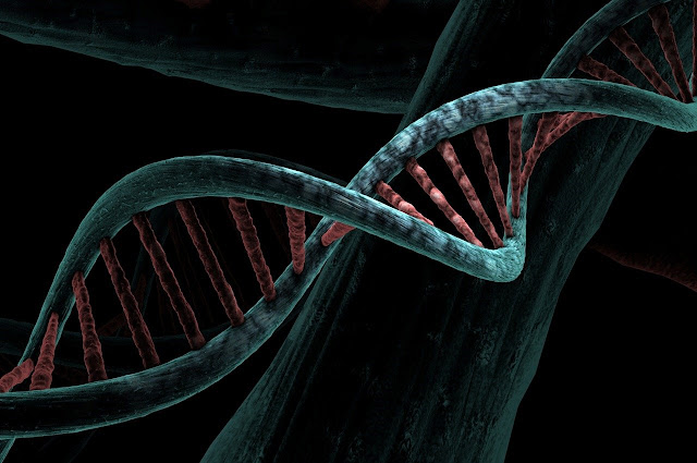 adarshagriknowledge