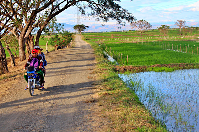 Nueva Ecija Travel Guide