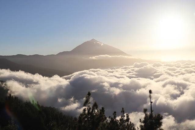 What to do and see in Tenerife