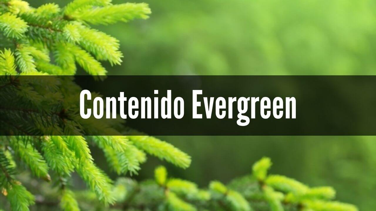 como-crear-contenido-evergreen-para-tu-negocio