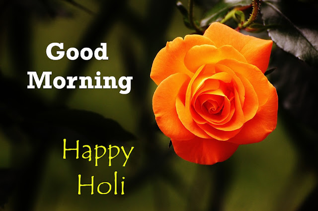 Good Morning Happy Holi