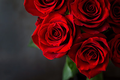 Real Love and Valentine Day