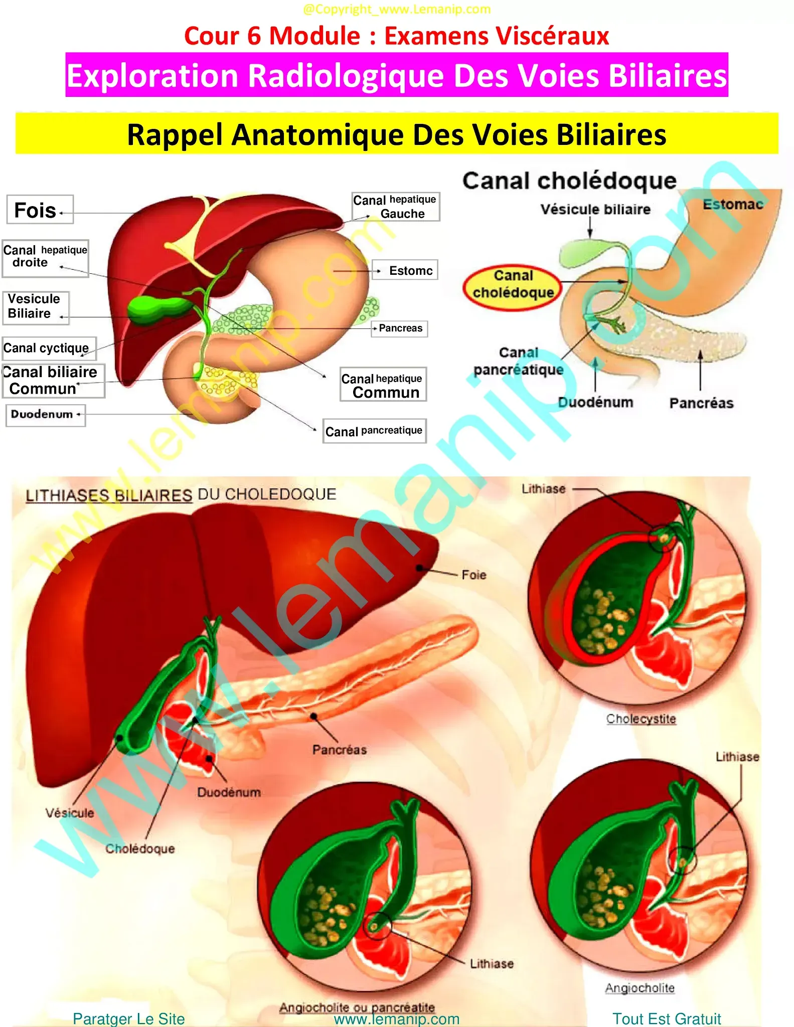 percutaneous transhepatic cholangiography,transhepatic cholangiography,bile duct cancer hands,hilar bile duct cancer,imfinzi biliary tract cancer,biliary tract cancer,biliary tree cancer,stage 2 bile duct cancer,biliary cancer,extrahepatic bile duct cancer