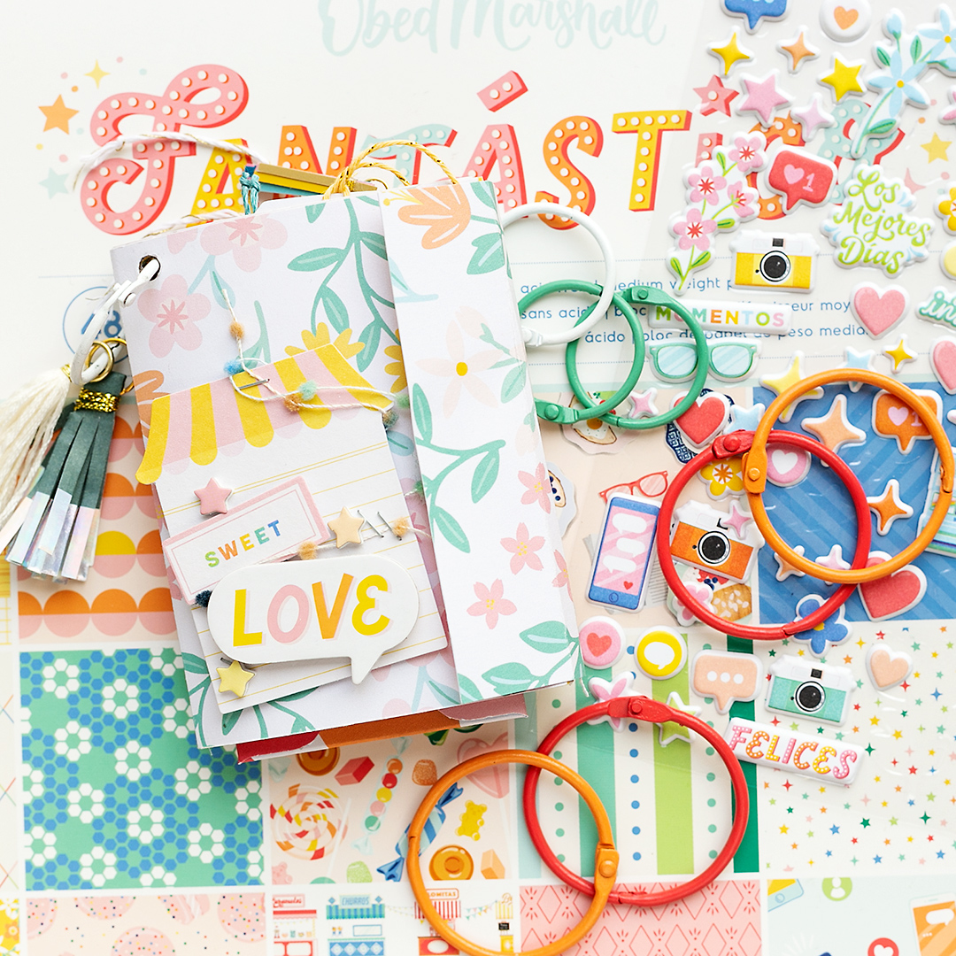 Close Up of a cute mini pocket album with Fantastico Papercrafting Collection by American Crafts Obed Marshall