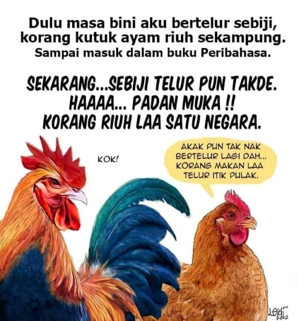 Ayam berleter