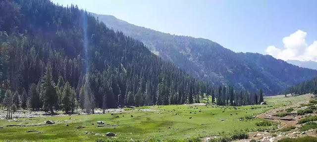 Swat from Islamabad | A scenic journey towards tourist's heaven