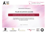 EXPERTO EN VINOS “DOP CAMPO DE BORJA”