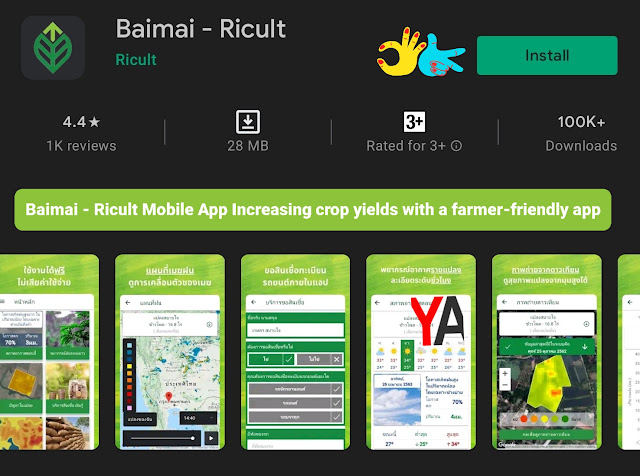Download & Install Baimai - Ricult Mobile App