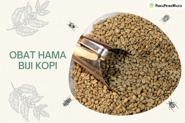 obat untuk hama biji kopi