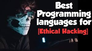 The Best Programming Language FOr Hackers