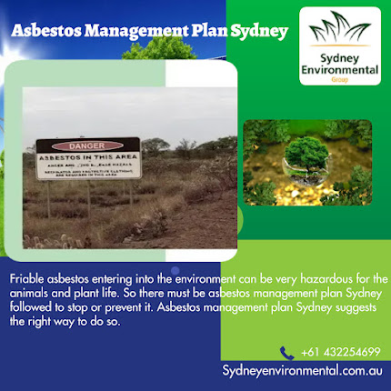 Asbestos Management Plan Sydney