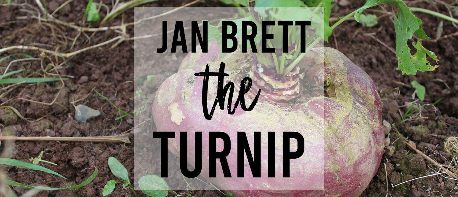 The Turnip Jan Brett book activities unit with Common Core companion literacy activities for Kindergarten and First Grade