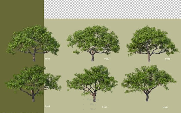 3d Rendering Of Various Tree Design Isolated 3D Model