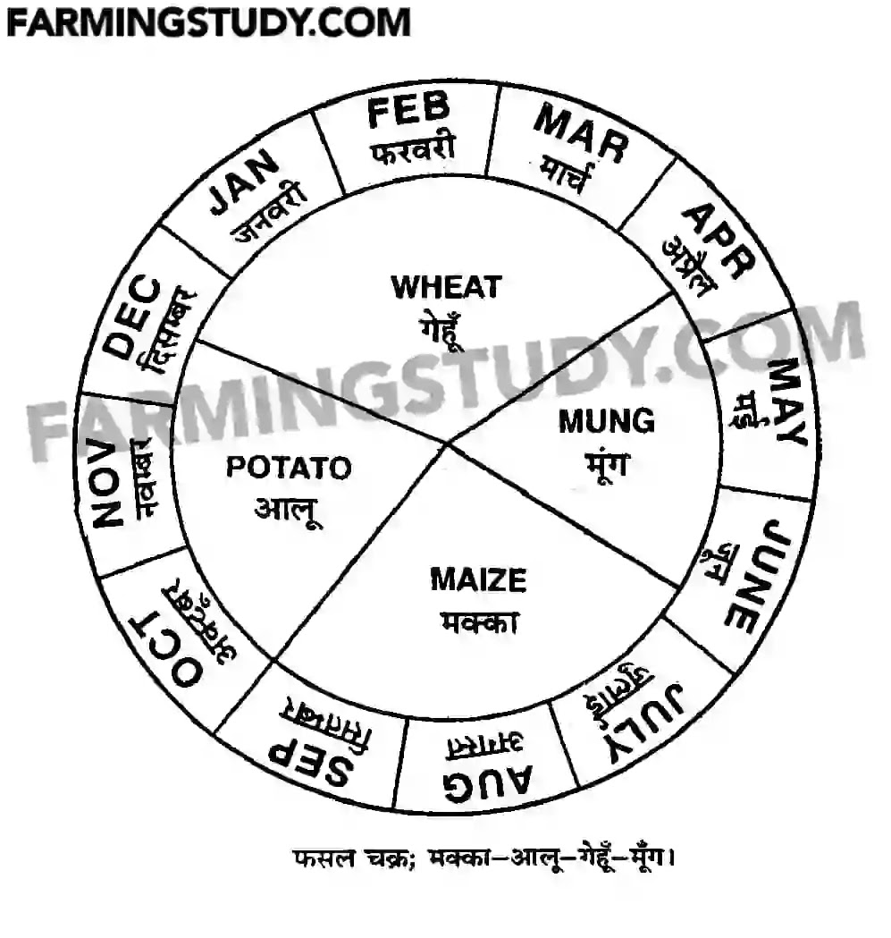 फसल चक्र से आप क्या समझते है, fasal chakra se aap kya samajhte hain, fasal chakra kya hain, फसल चक्र क्या है, फसल चक्र के लाभ एवं सिद्धांत लिखिए