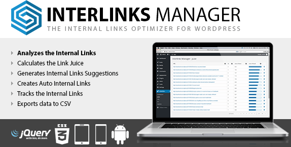 Plugin Interlinks Manager WordPress