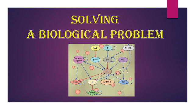 bio unit 2,Solving a biological problem,bio,biology chapter 2,biology unit 2,biology 9th,bio chapter 2,bio 9th,