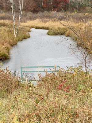 is this pond covered with ice?