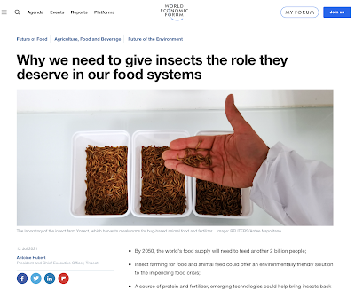 Diet of Insects